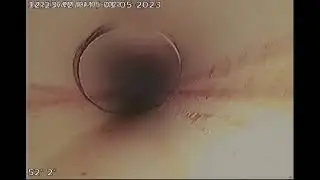 10581 Allen Rd sewer scope