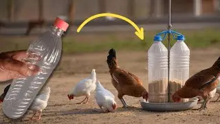 How to Make Chicken Feeder Using Plastic Bottle | Easy DIY Poultry Feeder