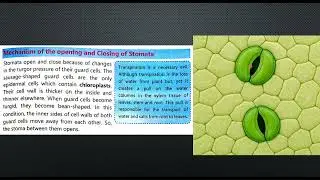 Transpiration in Plants| Ch 9| Class 9 New Biology