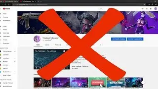 TheRagingReaper...Terminated?