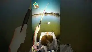 ЕСЛИ ВЫ ЭТО СДЕЛАЕТЕ, ЭТО ВЫЗВИТ ЗАВИТОВАНИЕ СОСЕДЕЙ!! #рыбалка