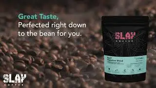 SLAY Signature Pure 100% Arabica Roasted Ground Coffee Powder | Single Origin
