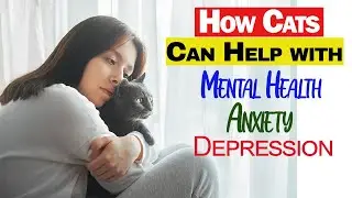 How Cats Help with Mental Health: Beating Anxiety and Depression