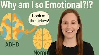Why Am I So Emotional? | The ADHD Brain & Emotional Dysregulation | NotebookLM&rdquo;