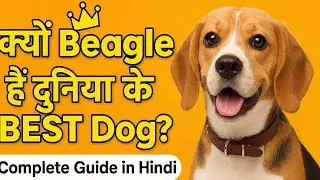 क्यों Beagle दुनिया के BEST Dog माने जाते हैं? | Beagle Dog Facts in Hindi | Family Pet Guide