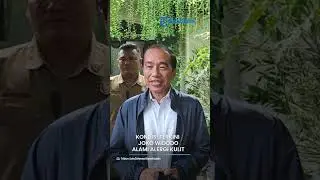 Помощник Джокови рассказал о его последнем состоянии после того, как на его шее и лице появились ...