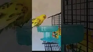 Bathtime 💛