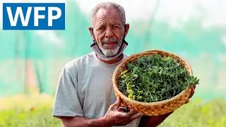 Here's how we empower smallholder farmers in Jordan | WFP