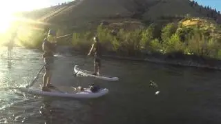 Wildwater River Guides: Stand Up Paddle Boarding