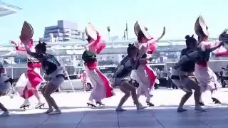 阿波踊り　娯茶平　～総踊り　四国の祭り2016/2日目