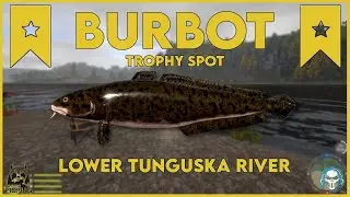 BURBOT TROPHY SPOT! LOWER TUNGUSKA RIVER - Russian Fishing 4 #rf4