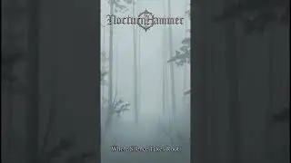Where Silence Takes Root &ndash; Post-Metal / Atmospheric | #metal #musica #music #metalfans #metalhead