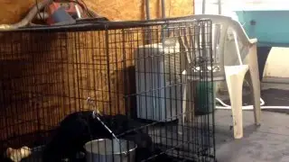 Jake - crate time 4/13/16