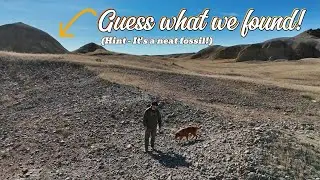 Первая охота за камнями в 2025 году! Южная Дакота, охота за камнями!
