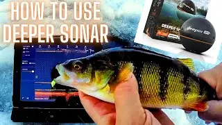 How to Use Deeper Pro Plus Sonar for Ice Fishing Perch