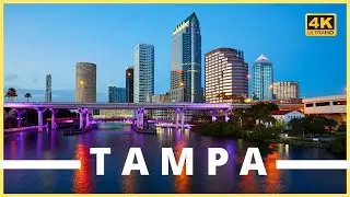 the city of Tampa bay drone 4k video tourist attractions | aerial view of Tampa city Florida tour