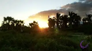 Honoring the Sun - Sunrise Ritual