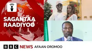 Adeemsi araaraa Andu'aalamii fi maatii Qananii akkamiin gufate? | BBC News Afaan Oromoo