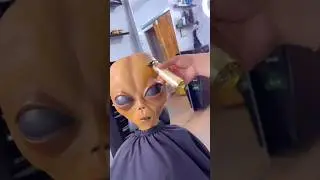 make my shi straight