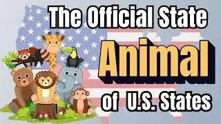The Official State Animal of Every U S  State 🐾  America&rsquo;s Most Iconic Animals by State