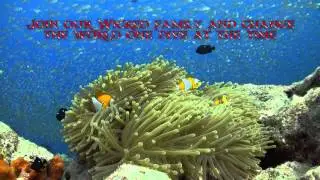 Wicked Diving Similan Islands, Thailand