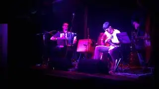 Francesco Turrisi Trio live at the Italian Fusion Festival