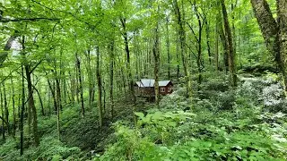 Off Grid Cabin on 3 acres in Cattail Creek!