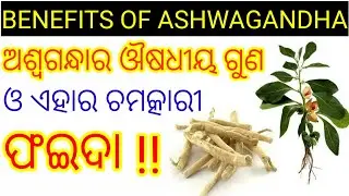 Benefits of ashwagandha in odia, Ashwagandha ra upakarita,Odia health tips on ashwagandha,Healthtips