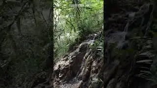 Gorgs i salts d'aigua de la Vall d'en Bas