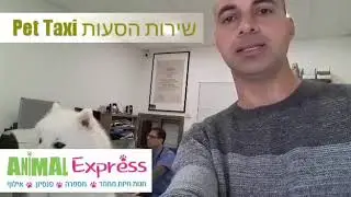פט טקסי Pet Taxi שירות הסעות לבעלי חיים מבית 'אנימל אקספרס'