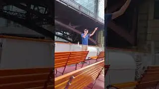 Shoreline Sightseeing Architectural River Tour
