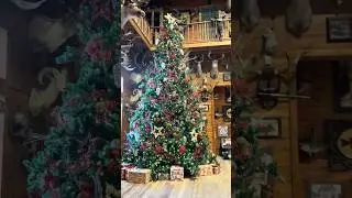 Bass pro Santa photos
