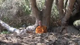 Questions on Meditation: What Should We See?