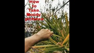 HOW TO TAKE MOODY PHOTOS WITH PHONE [MI 10T] | iamsajaved | #MoodyPhotography #mobile #tutorial