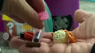 Unboxing Totally Tiny Foods