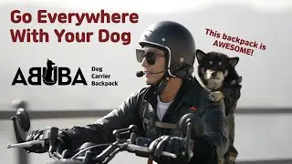 Go Everywhere With Your Dog: ABUBA Dog Carrier Backpack | Pengineer