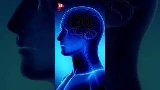 Dopamine Detox : Small Steps, Big Wins