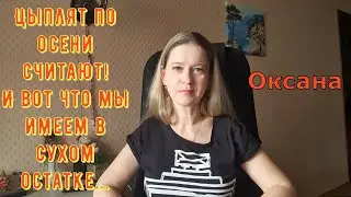 Цыплят по осени считают! И вот что мы имеем в сухом остатке... / Новый день / Лена LIFE / Обзор