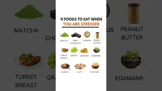 Top 11 Foods for Stress Relief & Relaxation