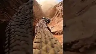 I Put a GoPro on a Rattlesnake&hellip; and It Led Me Somewhere I Wasn&rsquo;t Ready For