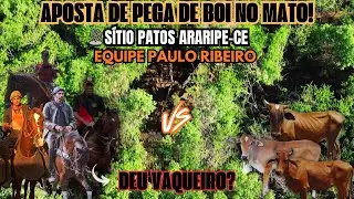 APOSTAS DE PEGA DE BOI NO MATO ( S&Iacute;TIO PATOS ARARIPE-CE)