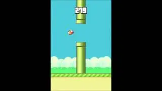 (TAS) Flappy Bird '1000 Pipes' in 26:03