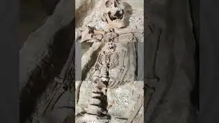 Более 2500 гигантских скелетов были захоронены в Змеиных курганах в Огайо #гиганты #гигант #адена...