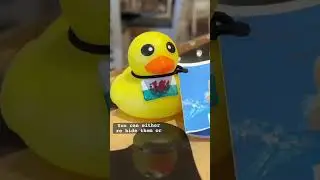 There are THOUSANDS of rubber ducks hidden on cruise ships 🦆⚓️ #shorts #cruiseships #cruising