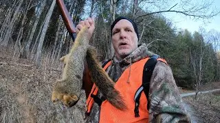Hunting GIANT NC Mountain Fox Squirrels