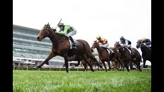Flemington Raceday Preview! Saturday 15th January 2022