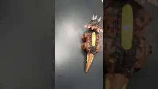 WALKING/MOVING MUSICAL TRICERATOPS WARRIOR SERIES DINOSAUR TOY WITH FLASHING LIGHTS/REALISTIC SOUND