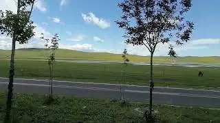 Pure Painting! Exactly painting-like grassland of China 2025/07/31 12:15