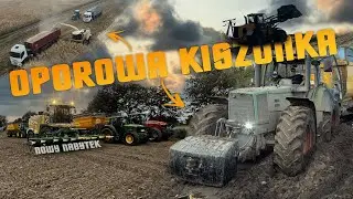🇵🇱Nowa sieczkarnia !㋛︎Kiszonka na 9 zestawów㋛︎Wtopa!㋛︎2024㋛︎Lubuskie