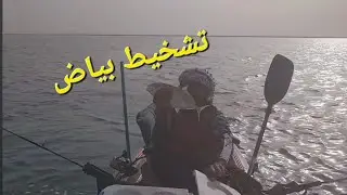 صيد البياض بالتشخيط